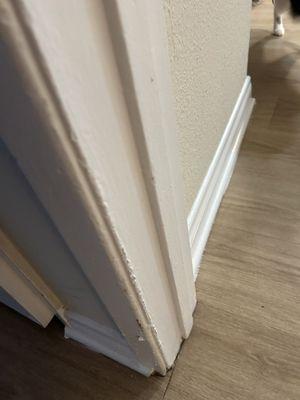 The Encore Apartments