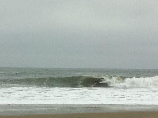 Twentyfirst Avenue County Park