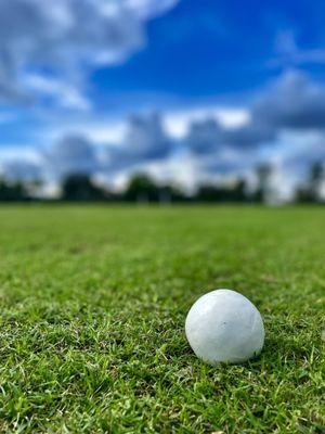 Flying Cow Polo Club