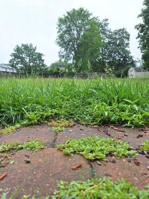 Waiting for 2+ weeks for someone to show up OR call me to let me know what's going on