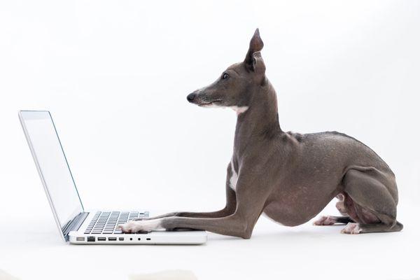 Searching for your Solution