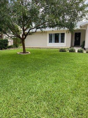 Greentek Pest Services