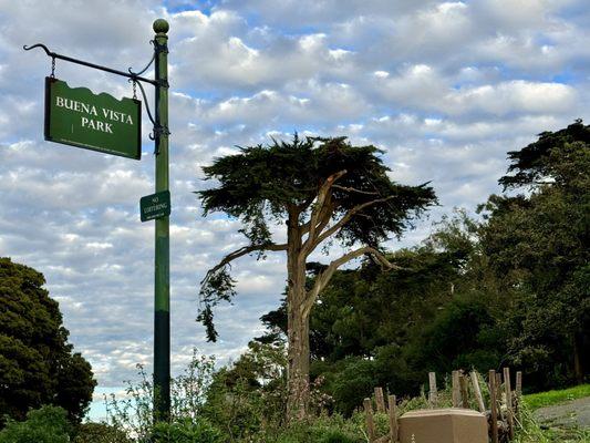 Buena Vista Park