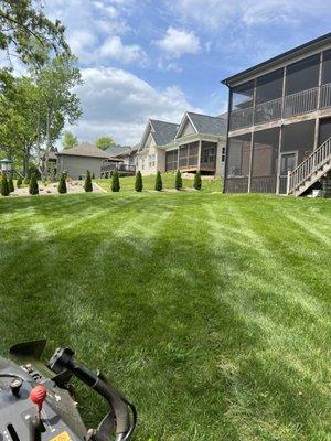 C&D Lawncare and Landscaping