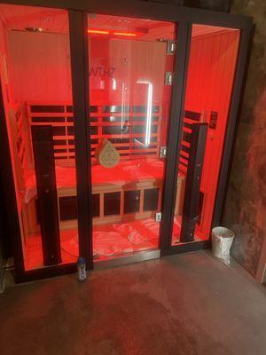 Sauna has adjustable temp and lights