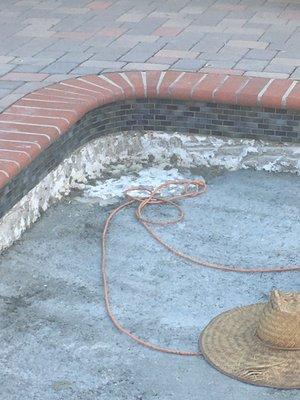 Pool Service & Maintenance Professionals