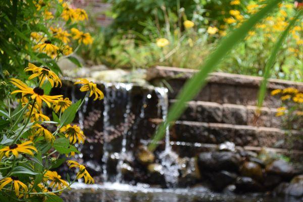 Countryside Landscaping