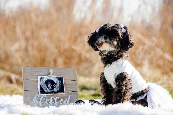 Ylianna Luna Photography