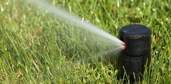 Grass & More Outdoor Services