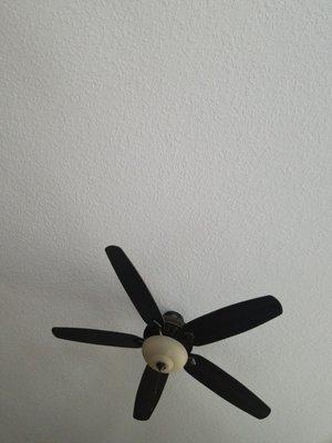 A big fan, why because I am a big fan