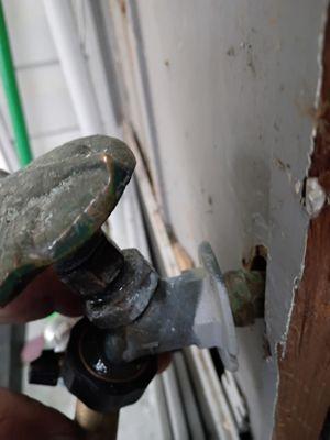 The Shepherd's Hammer