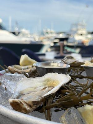 Atlantic Fish & Chop House