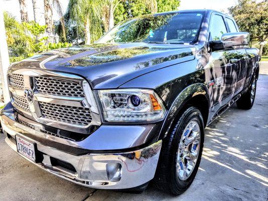 Gold Blooded Detailing