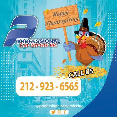 Professional Car Service