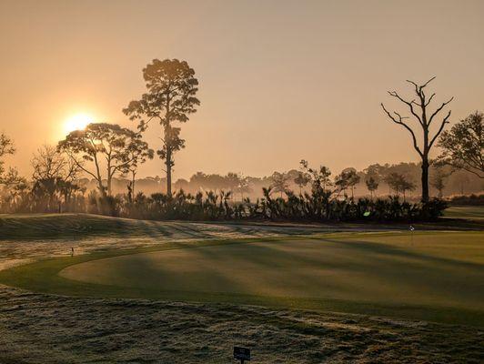 Saltleaf Golf Preserve