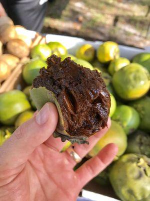 Chocolate Pudding Fruit