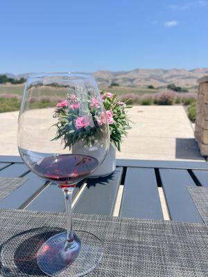 View from outdoor seating