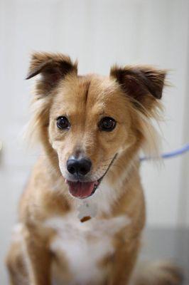 Granite Hills Animal Care