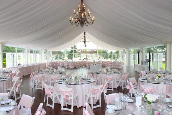 Jim Cerone The Perfect Host DJ MC