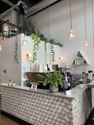 Junior's Roasted Coffee