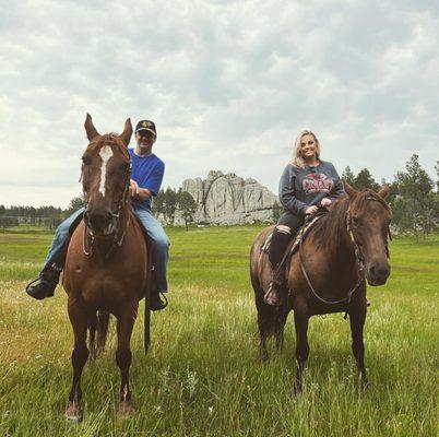 Hollingsworth Horses LLC