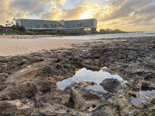 Turtle Bay Beach