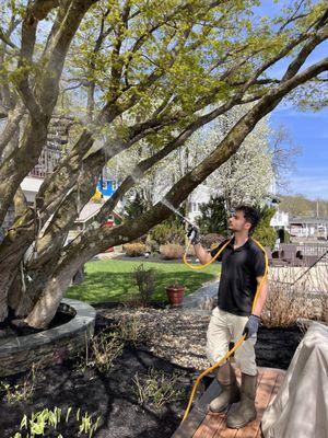 Countryside Organic Spraying