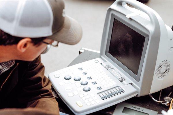 Harney Veterinary Services