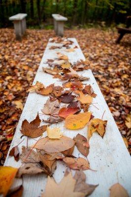 Outdoor Adventures Saginaw Bay Resort