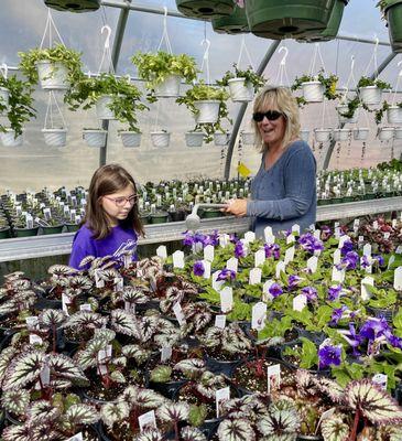 Greenhouses bursting with early spring color