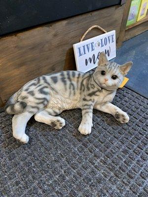 Outdoor and More Store