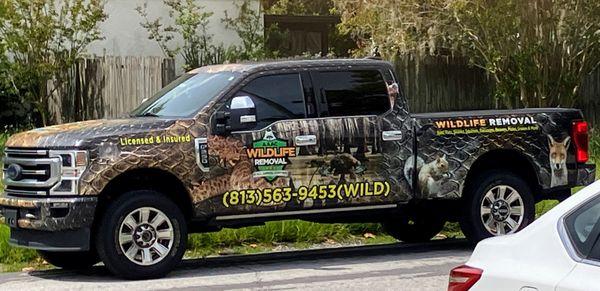 Well identified vehicle.