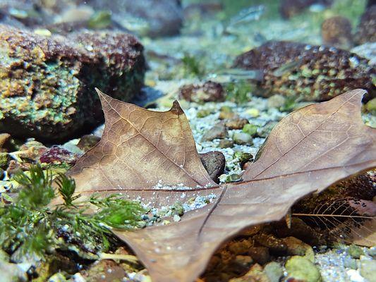 Desert Reef Outfitters