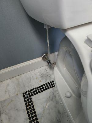 So much neater then a hose