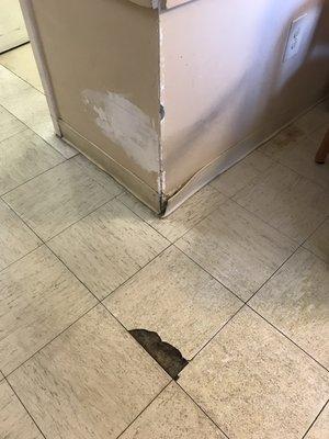 Black mold and dilapidated building. The entire building looks like this.