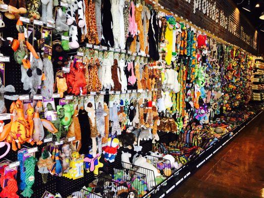 The Natural Dog Pet Food Market