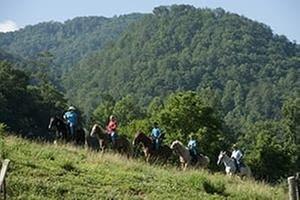 Blount County Chamber of Commerce