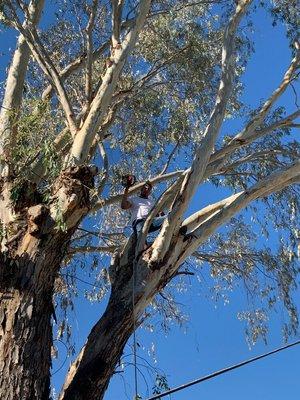 Road Runner Landscaping