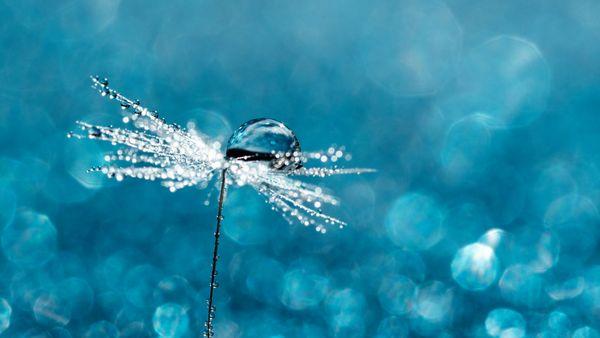 Integrative Bodyworks