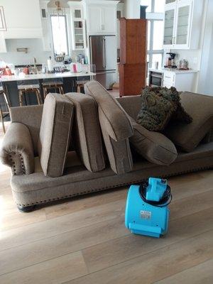 Davis Carpet Cleaning Plus