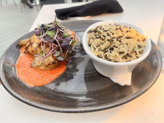 Kaluz - Fort Lauderdale