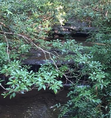 Table Rock State Park