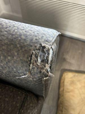 This is the chair provided