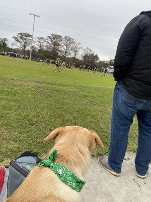 NOLARFC vs STL Bombers ft. Callie the Dog