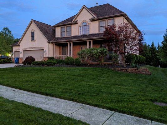 Steel Cuts Lawn & Landscaping