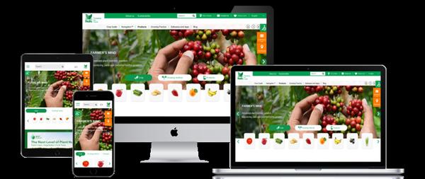 Comrax - Web Innovation & Digital Transformation