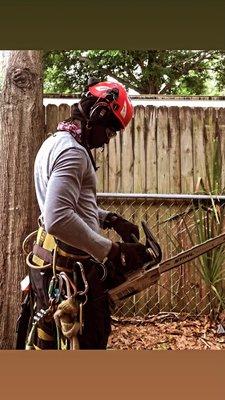 J&B NO LIMIT TREE & LAWN SERVICE