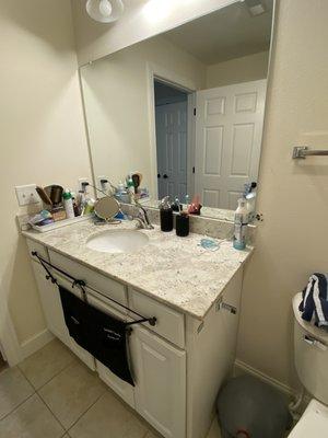 Sanitize & Organize Services