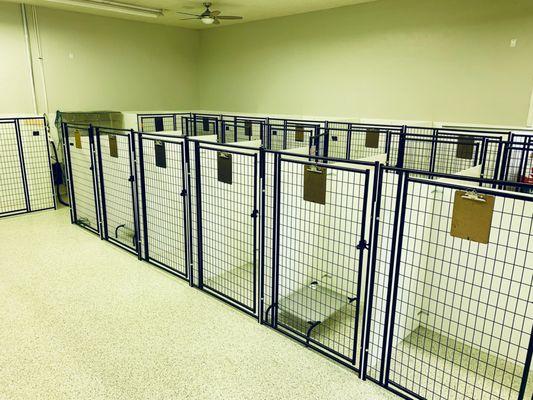 We have 23 indoor kennels.