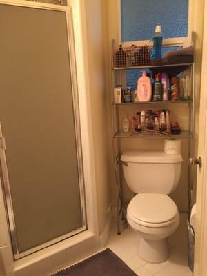 Bouey Termite & Construction